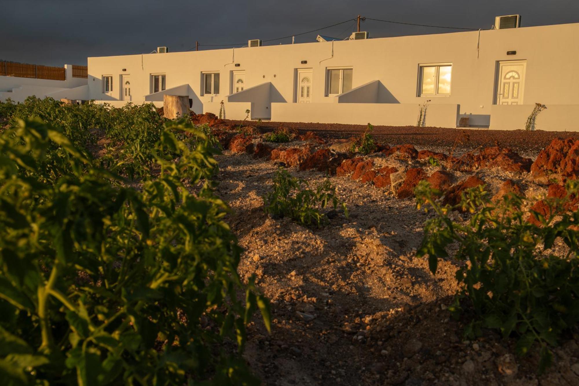 Calma Eco Houses Sunset View Emporio (Santorini) Exterior foto